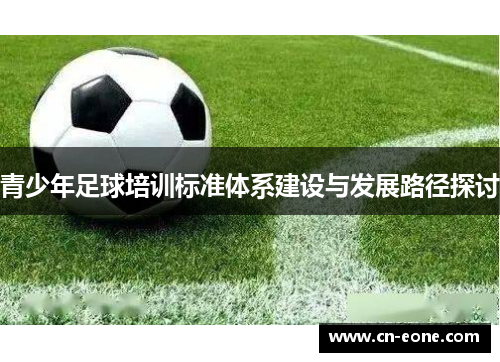 青少年足球培训标准体系建设与发展路径探讨