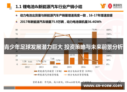青少年足球发展潜力巨大 投资策略与未来前景分析