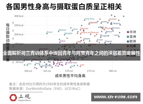 全面解析荷兰青训体系中埃因青年与阿贾青年之间的深层差异发展性 全面解析荷兰青训体系中埃因青年与阿贾青年之间的深层差异发展性