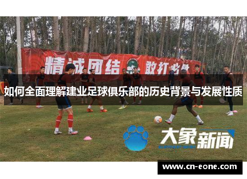 如何全面理解建业足球俱乐部的历史背景与发展性质