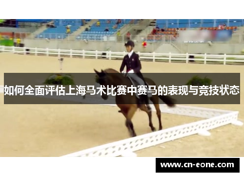 如何全面评估上海马术比赛中赛马的表现与竞技状态