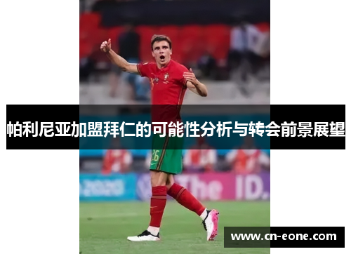 帕利尼亚加盟拜仁的可能性分析与转会前景展望