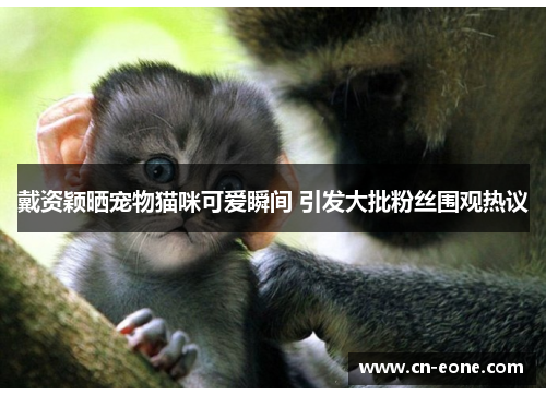 戴资颖晒宠物猫咪可爱瞬间 引发大批粉丝围观热议 戴资颖晒宠物猫咪可爱瞬间 引发大批粉丝围观热议