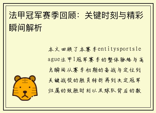 法甲冠军赛季回顾：关键时刻与精彩瞬间解析